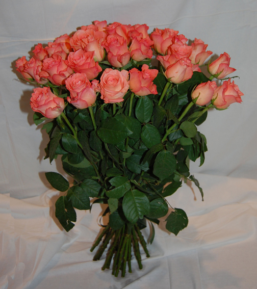 букет из 29 розовых роз