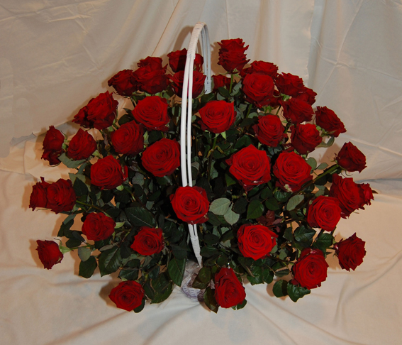 корзина из 55 красных роз